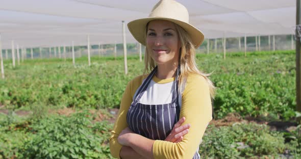 Video of happy caucasian woman wearing apron and standing in greenhouse