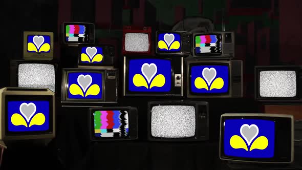 Flag of the Brussels-Capital Region on Retro TVs.