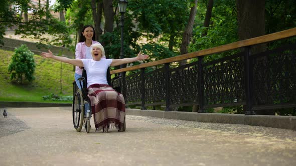 Happy Volunteer Pushing Wheelchair With Positive Old Lady, Joyful Female Patient