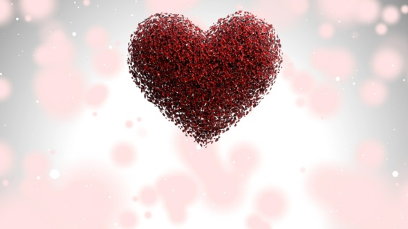 Rose Petals Heart 01 Shot 02