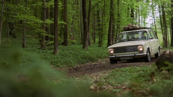 Happy Car Trip in European National Park in Springtime.