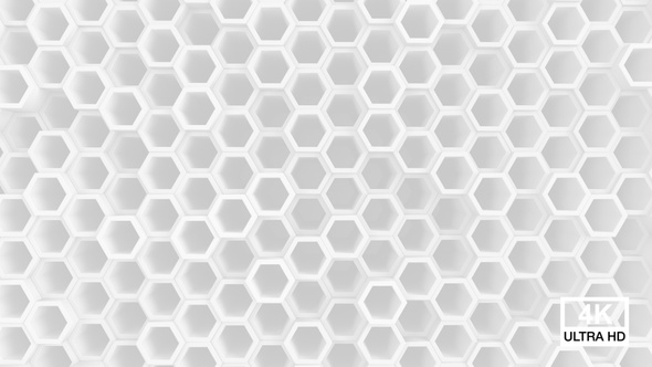 Honeycomb Hexagon Background White V2