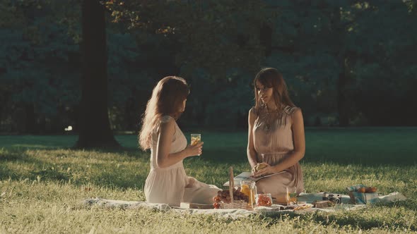 Beautiful girls on a picnic 