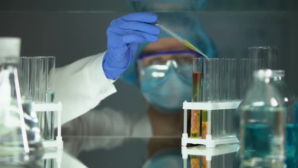 Lab Assistant Dripping Chemical Liquid in Tube With Meat Sample, Food Quality