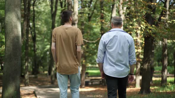 Back View of Carefree Young Son and Middle Aged Father Strolling in Sunny Park Talking