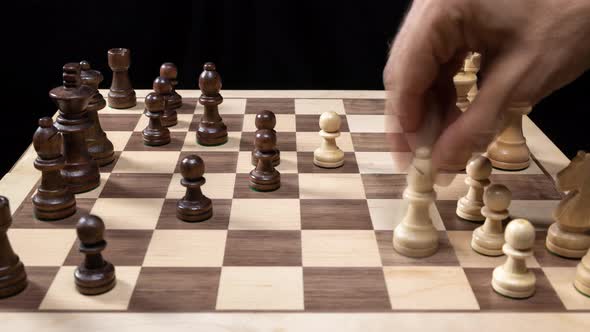 Chess Game Stop Motion Game