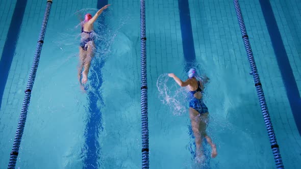 Swimmers training in a swimming pool