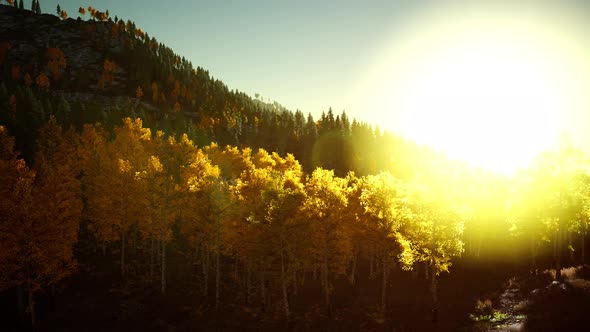 Bright Sunset in the Mountains