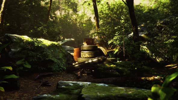 Old Used Wheels in the Tropical Forest As Pollution Concept