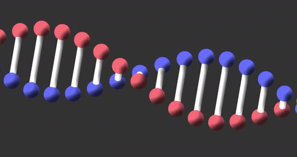 Animation of a digital 3d red, blue and white double helix DNA  alt