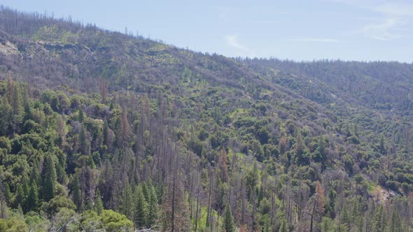 Ascending Aerial Drone Shot of a Houses in a California Mountain Valley (Sierra National Forest, CA)