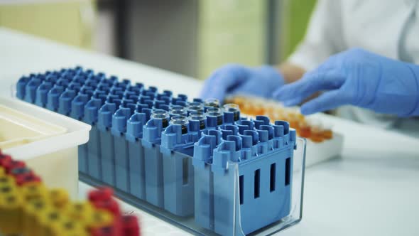 Laboratory Specialist Is Putting Small Test Tubes Into a Tray