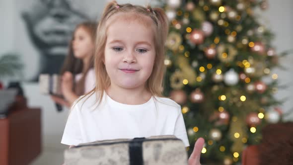 Charming Little Girl Holds a Gift on a Background of Christmas Trees