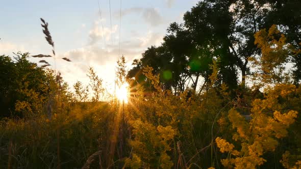 Bright Sun Rays