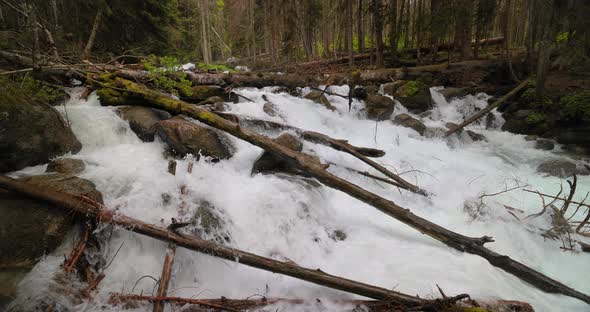 Mountain River in the Wood in Slow Motion