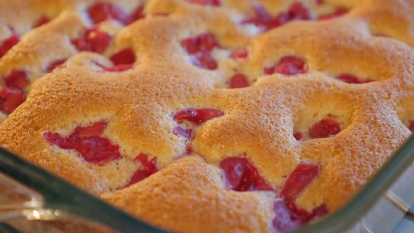 Fresh cherry cake taken from oven close-up 4K 2160p UHD footage - Tasty cherry cake taken from oven 