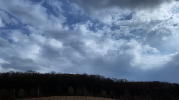 Landscape Fluffy Cloud Sky Flowing on Natural Forest at Morning