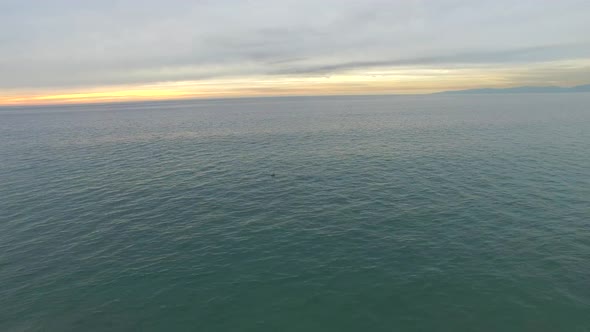 Aerial shot of ocean and beach city pier.