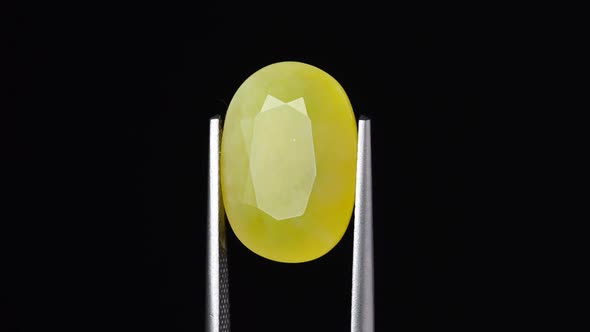 Natural Yellow Fire Opal Gemstone in the Tweezer on the Background