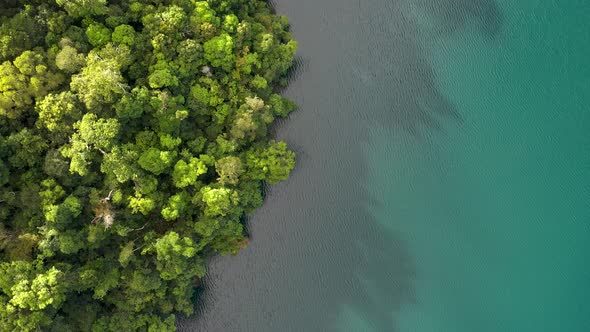 Lake Eacham top down aerial with rainforest and turquoise water, Atherton Tablelands, Queensland, Au
