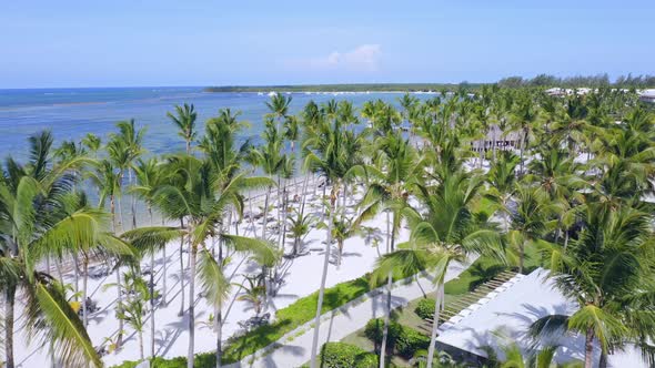 Flight over perfect white sand beach with palms in Caribbean, Playa Bavaro