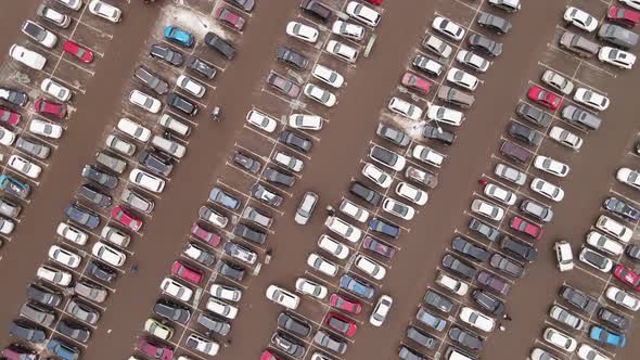 Many Cars are in Straight Rows in the Parking Lot Aerial View