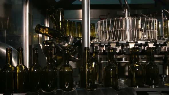 Wine Bottle Conveyor Process