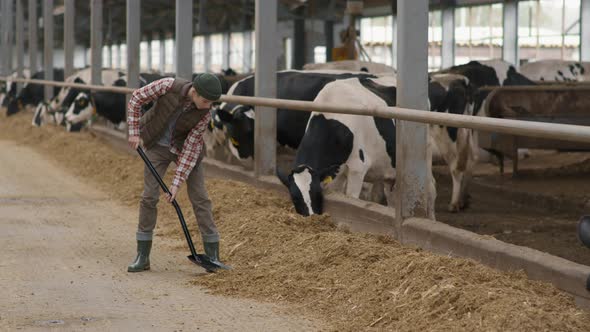 Slowmo of Teenage Boy Working at Dairy Farm