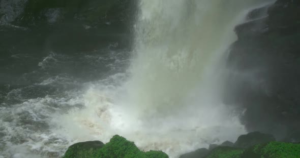 Waterfall in a Jungle