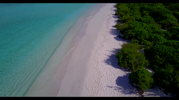 Aerial drone view abstract of tropical seashore beach wildlife by aqua blue lagoon and white sandy b