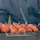 Man Turning Barbecue Grill Meat Outdoors - VideoHive Item for Sale