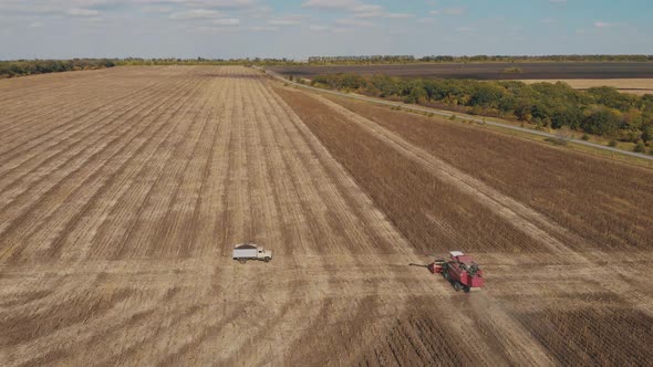 Aerial View Combine Harvesting on Sunflower Field. Mechanized Harvesting Sunflower. Large Field of alt