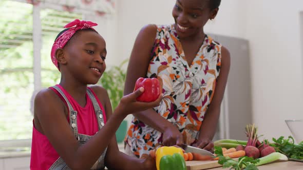 African american mother and daughter chopping vegetables in the kitchen at home