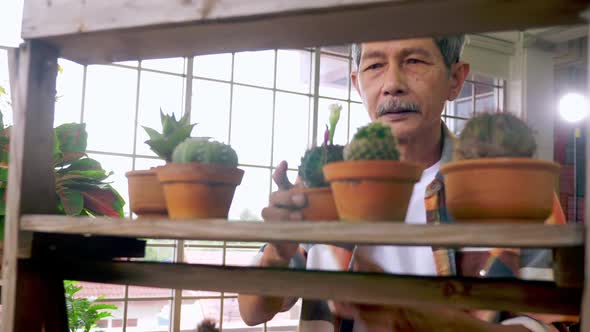 Happy senior gardener man taking care of his plants in greenhouse.