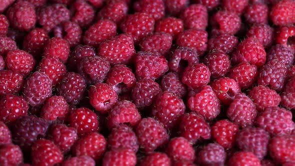 Rotating Ripe Raspberry