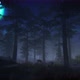 Spooky Forest - VideoHive Item for Sale