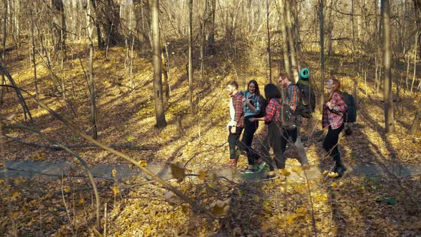 Active Friends Hiking in Autumn Forest Carrying Backpacks