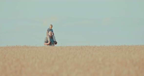 Beautiful Rural Landscape Wheat Field