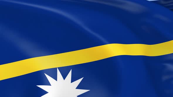 Nauru Flag