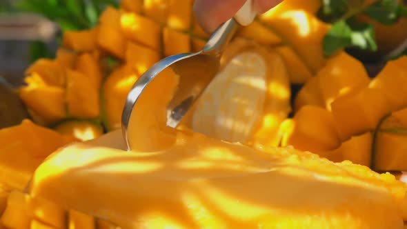 The Spoon is Slowly Scooping Frozen Mango Icecream Gelato