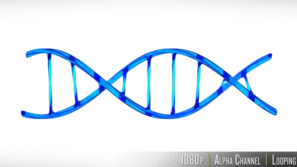 DNA Double Helix Strand Loop