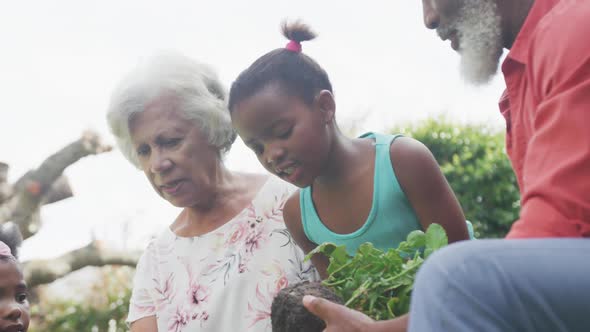 Happy senior african american grandparents with grandchildren working in garden