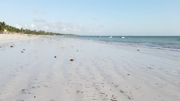 Zanzibar Tanzania  Low Tide in the Ocean Near the Shore