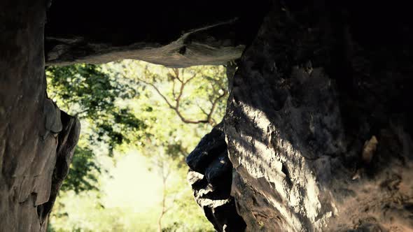 Shot Taken From Inside a Small Cave Looking Out