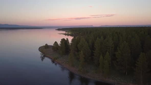 Aerial view flying over coastline of lake and forest