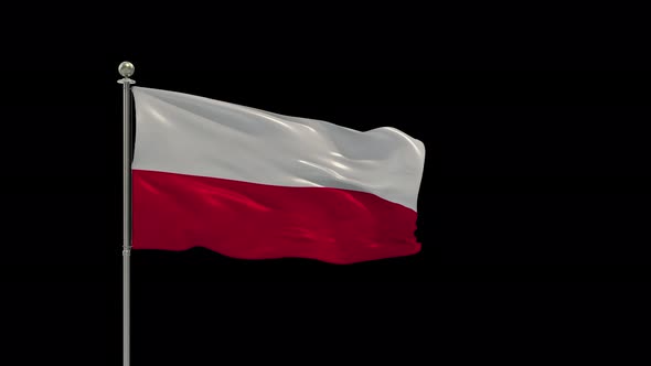 Poland Looping Of The Waving Flag Pole With Alpha alt