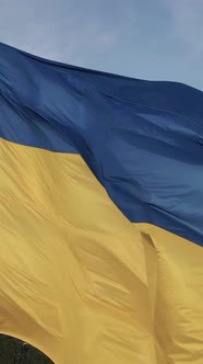 Vertical Video National Flag of Ukraine By Day