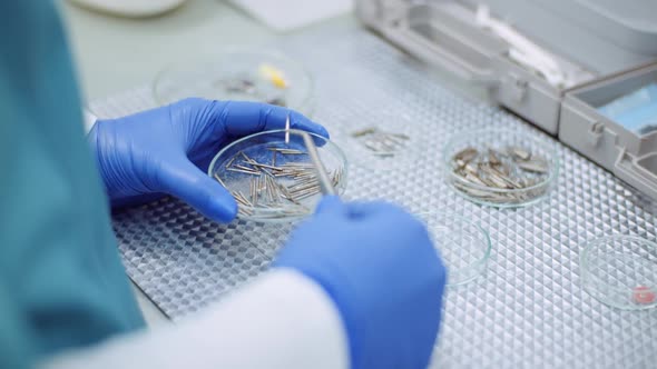 Doctor Sorts Medical Instruments at Healthcare Clinic alt