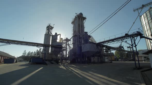 Grain processing plant