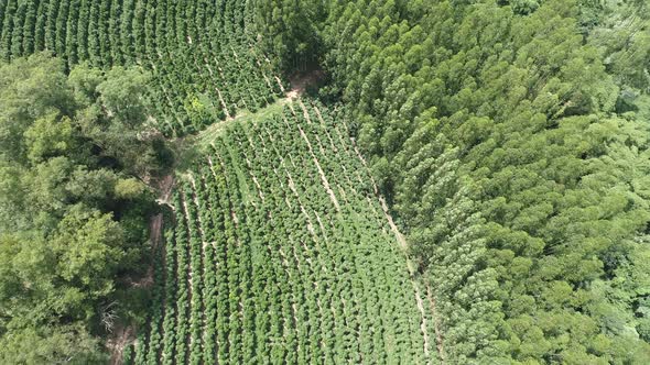 Rural landscape aerial view. Nature scenery